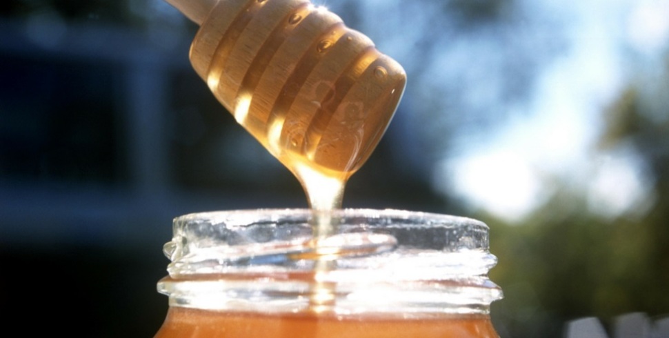Le api e il miele: una produzione a rischio
